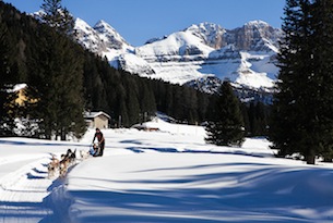 Dogsledding - Piana di Nambino2