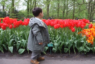 Parco Keukenhof con bambini