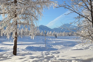 Riederalp campo da golf innevato